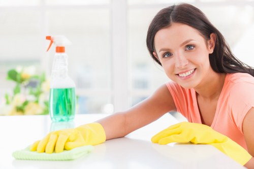 Professional carpet cleaning equipment in use on a domestic carpet