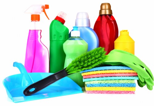 Professional treatment for pet stains and smells