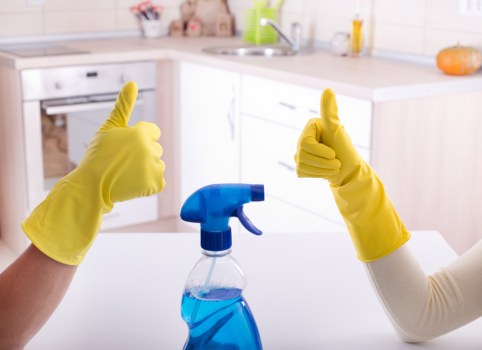 Local carpet cleaning specialist improving indoor freshness in East Dulwich