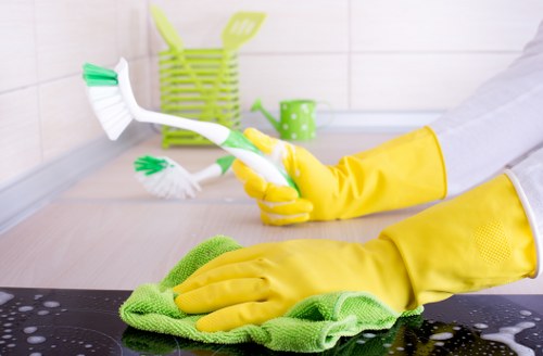 East Dulwich carpet cleaner reviewing site safety