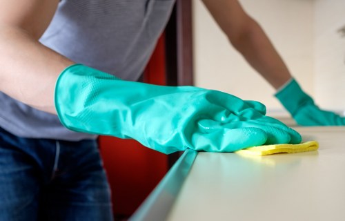 Upholstery cleaning equipment used in an East Dulwich home