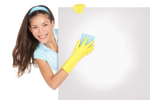 Cleaning pet odour from upholstered furniture in East Dulwich