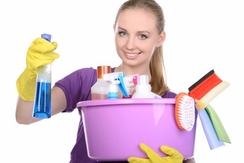 Inclusive web design illustration for local carpet cleaning website